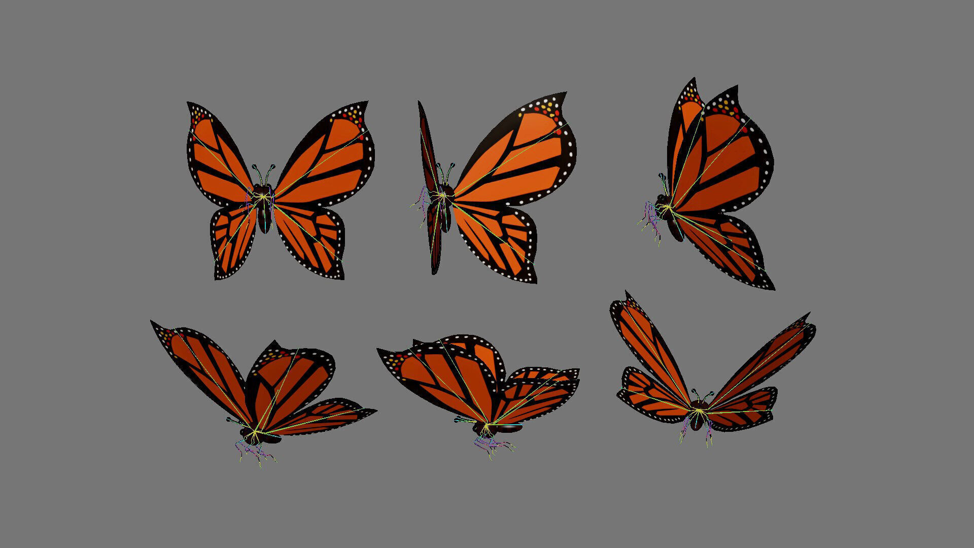 Cartoon Butterfly Wing Flapping 01 Animated Low-poly 3D model_8