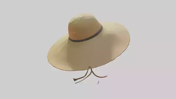 Cartoon Sunhat model