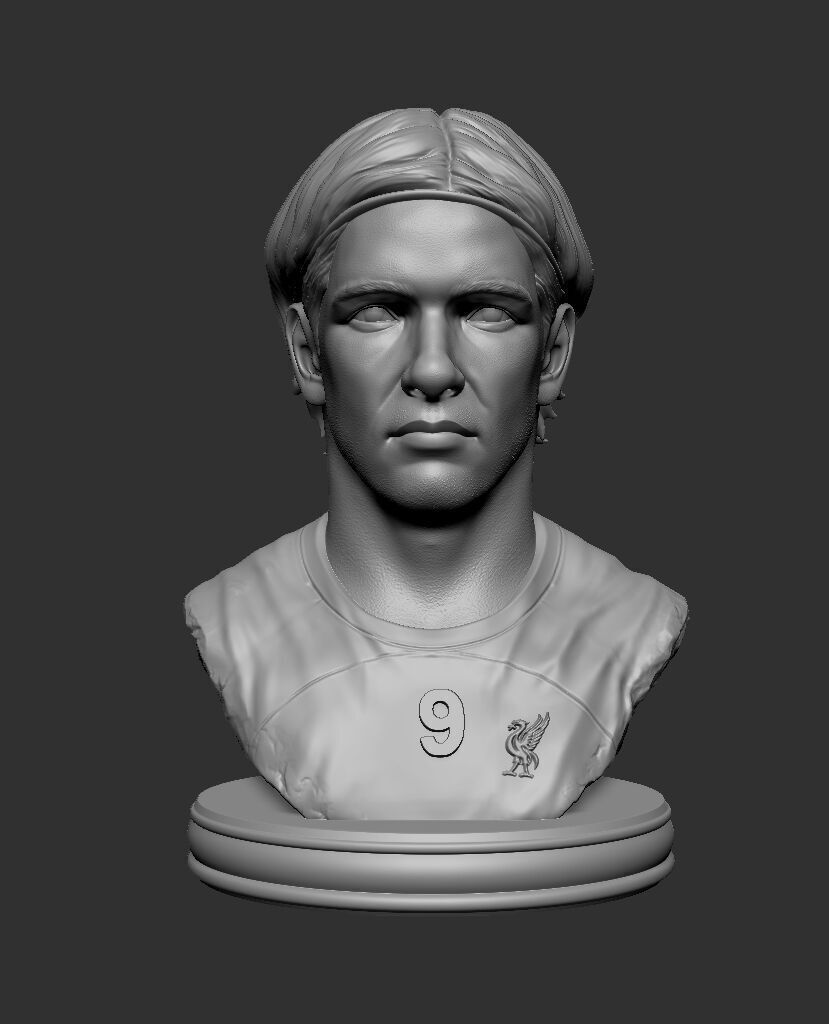 Fernando Torres 3D print model_1