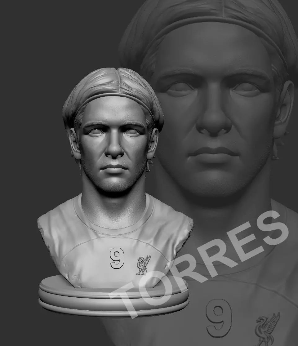 Fernando Torres 3D print model_0