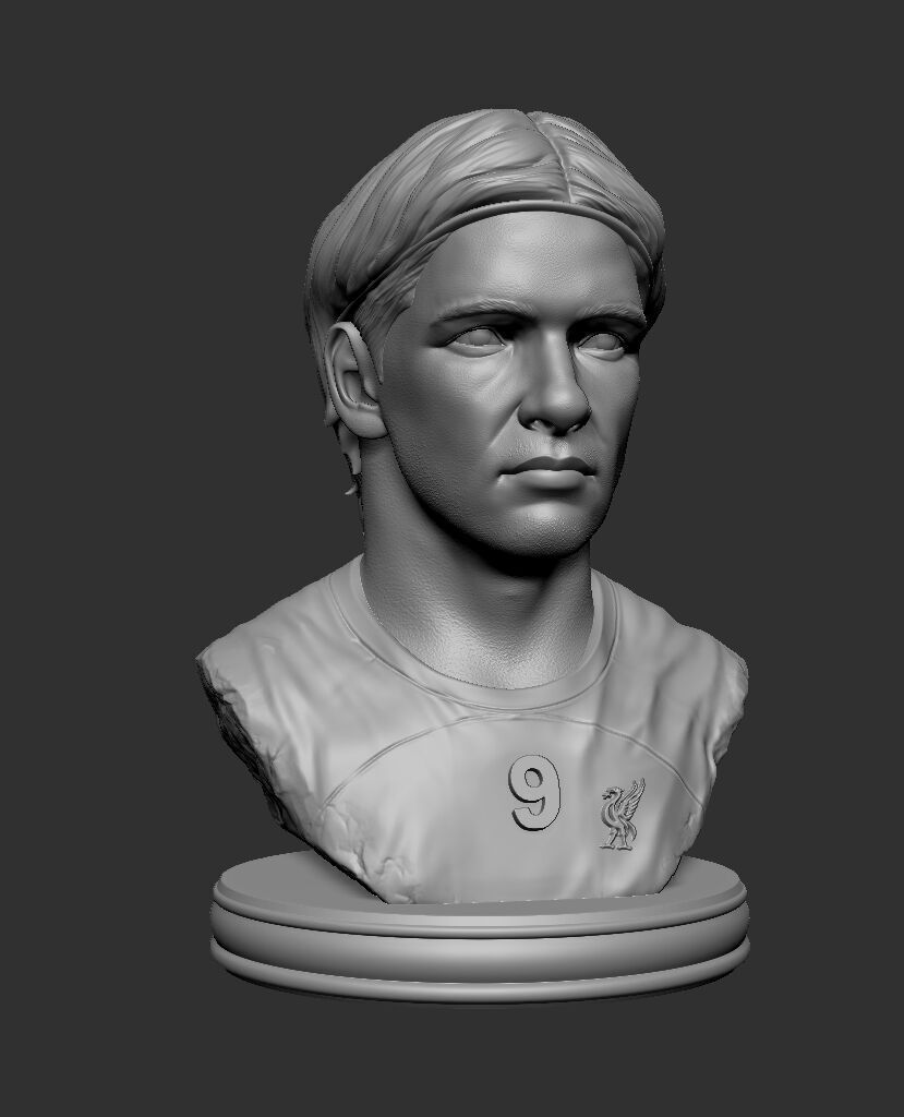 Fernando Torres 3D print model_2