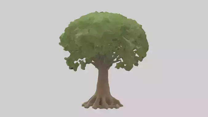 Cashew tree model