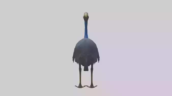 Cassowary stalking model