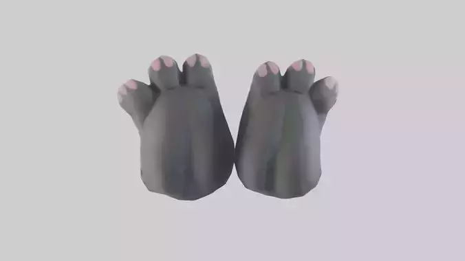 Cat Paws Model