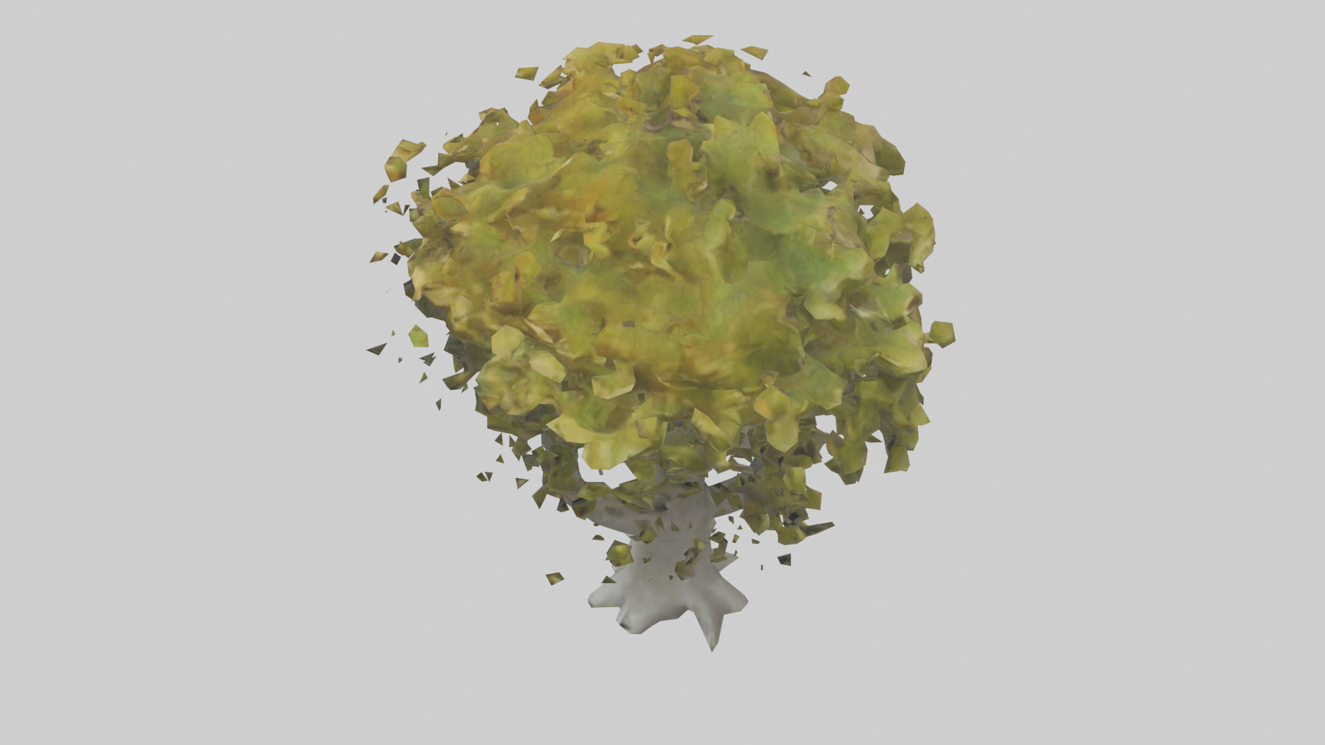 Catalpa tree model 3D model_17