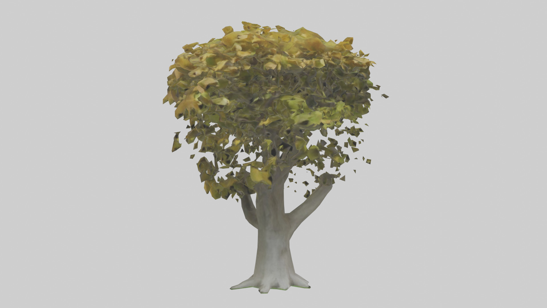 Catalpa tree model 3D model_7