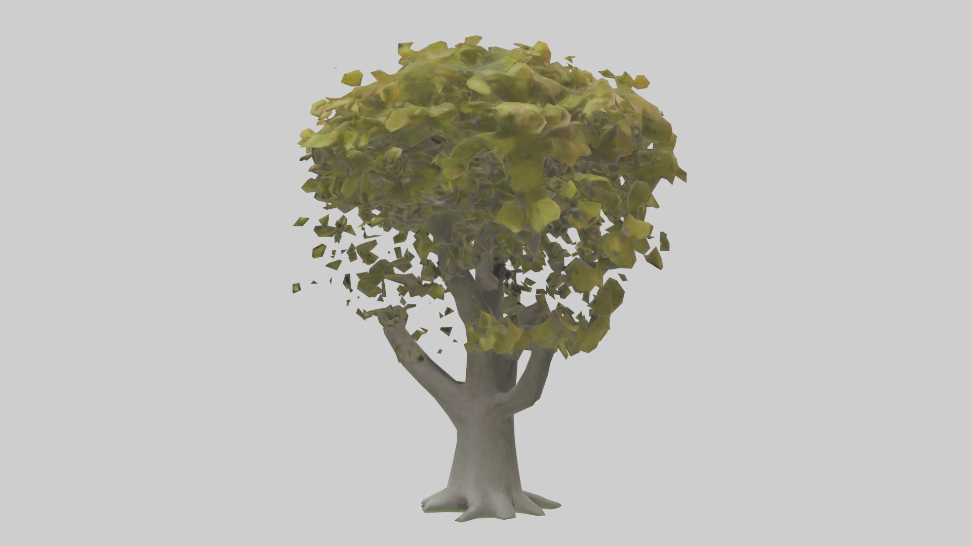 Catalpa tree model 3D model_1