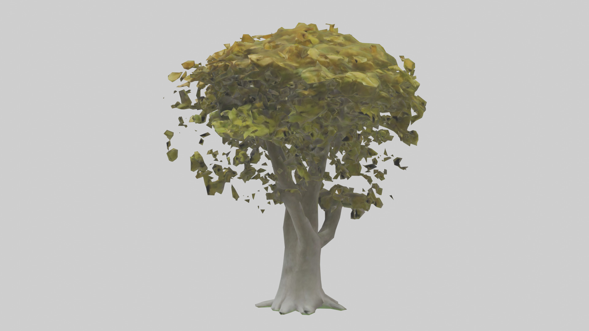Catalpa tree model 3D model_8