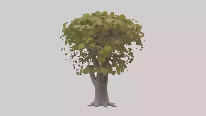 Catalpa tree model
