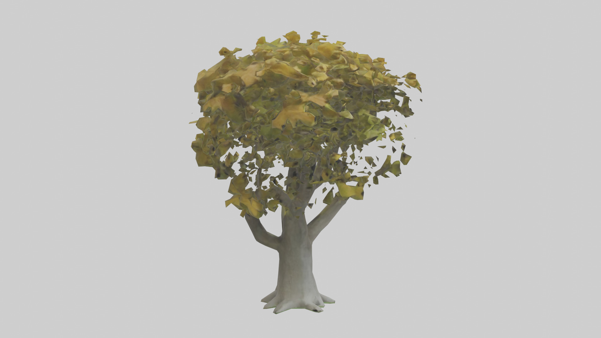 Catalpa tree model 3D model_13