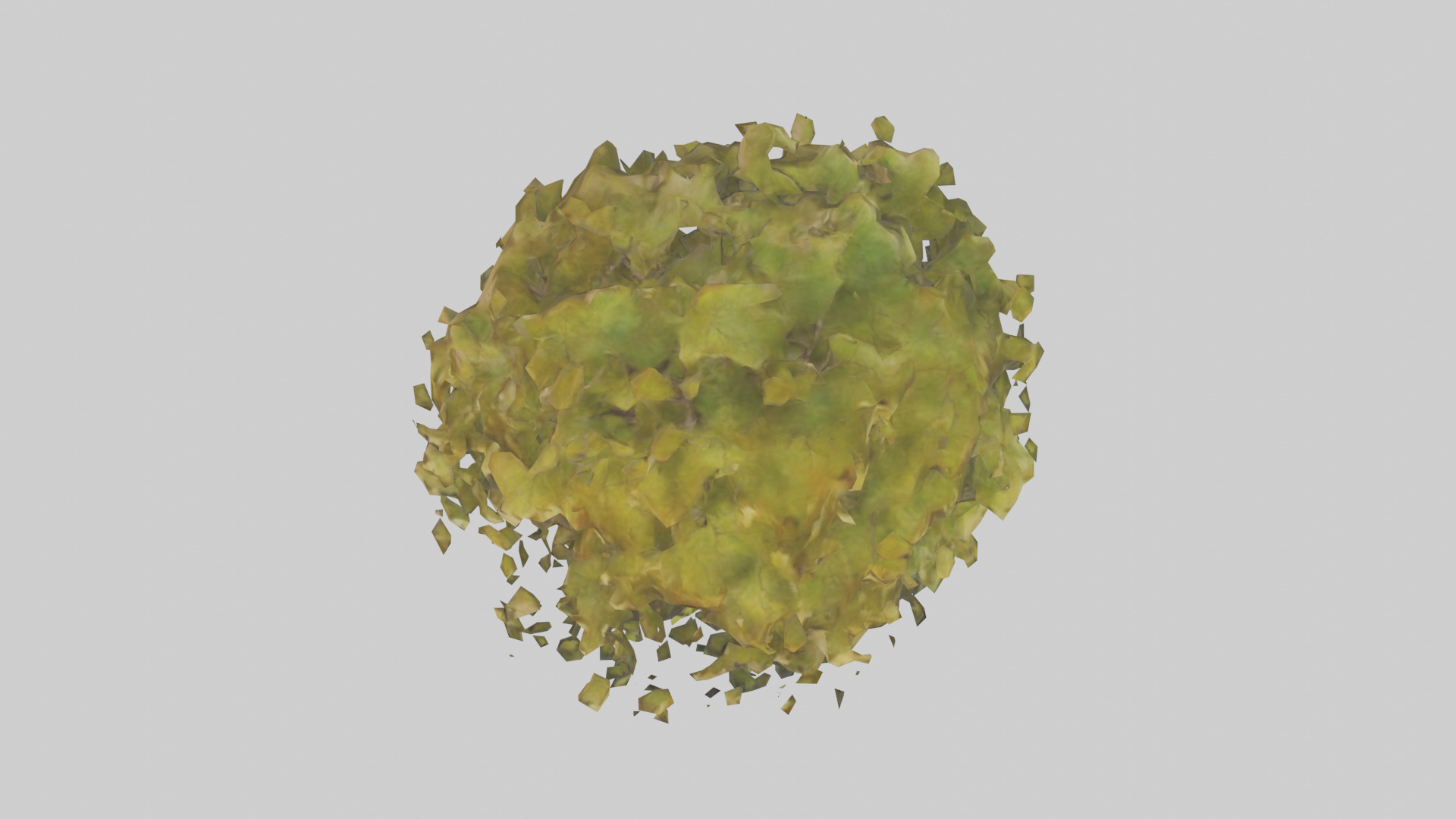 Catalpa tree model 3D model_14