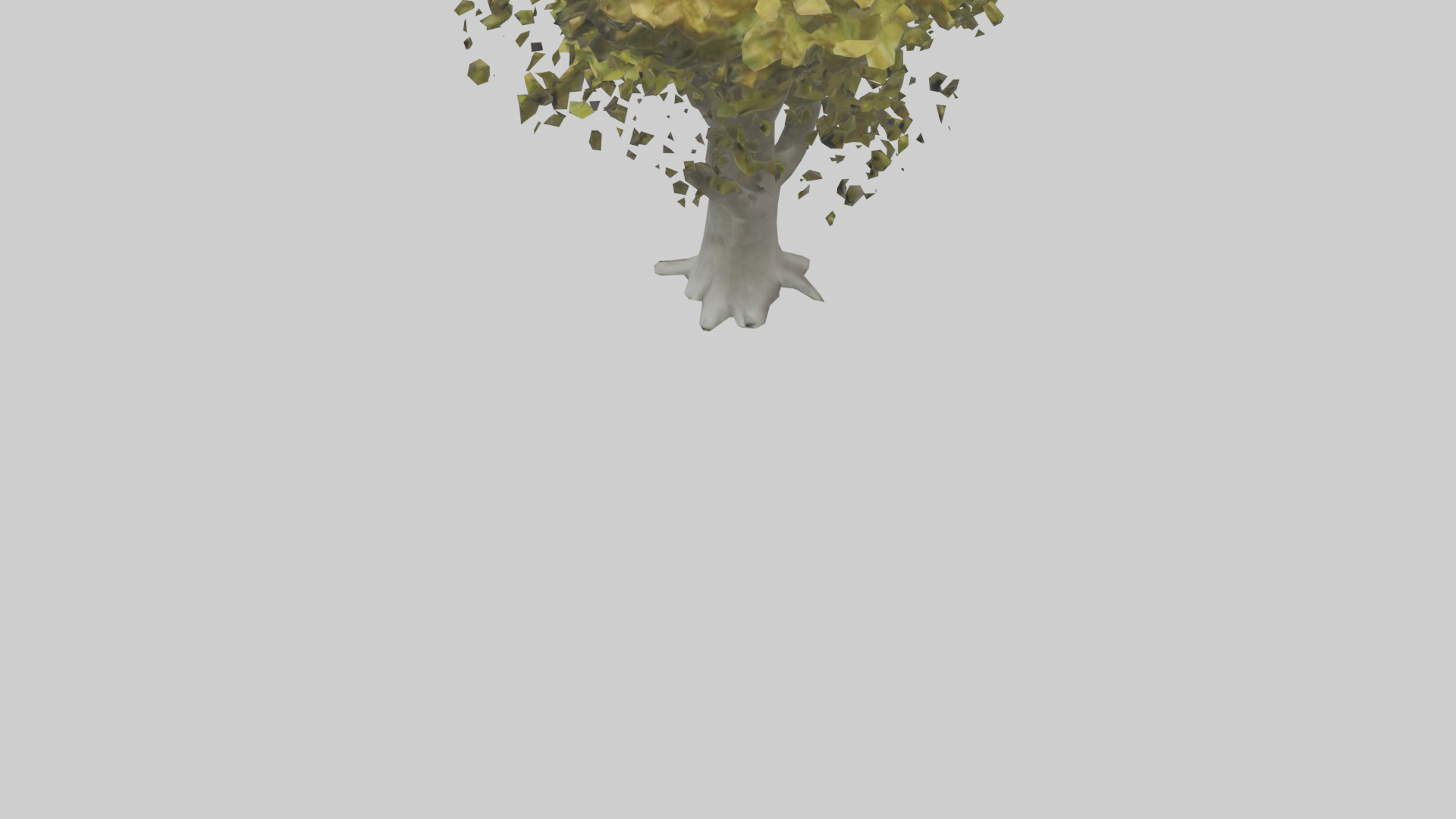 Catalpa tree model 3D model_5