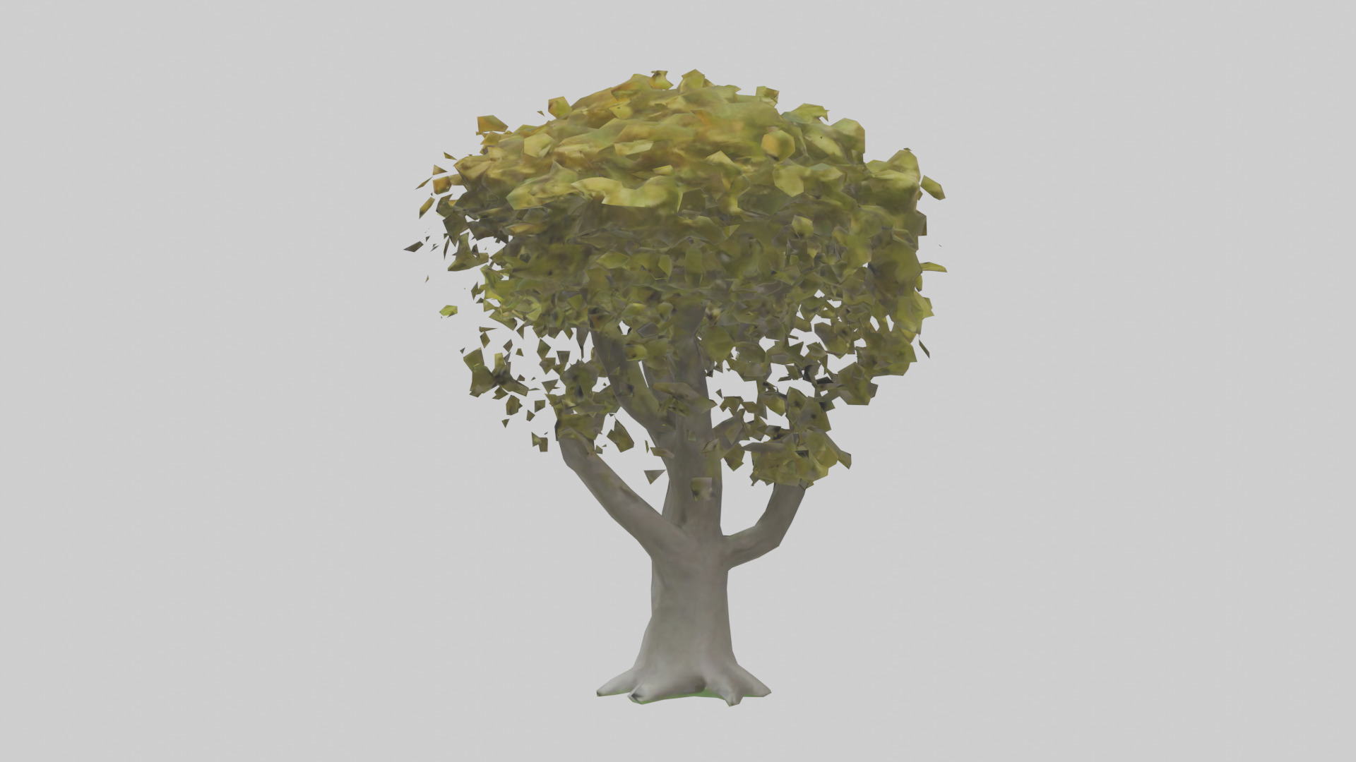 Catalpa tree model 3D model_12