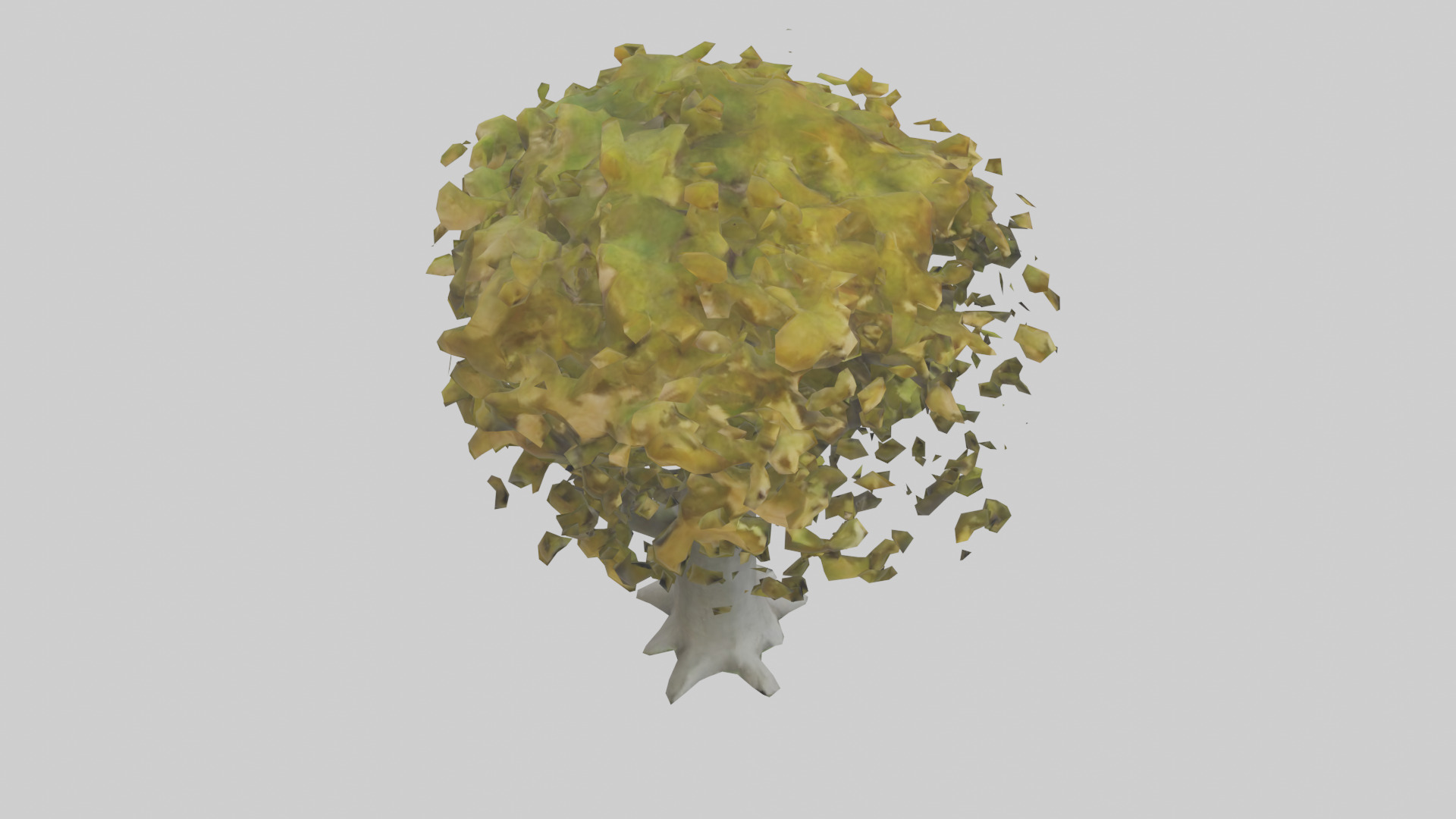Catalpa tree model 3D model_18
