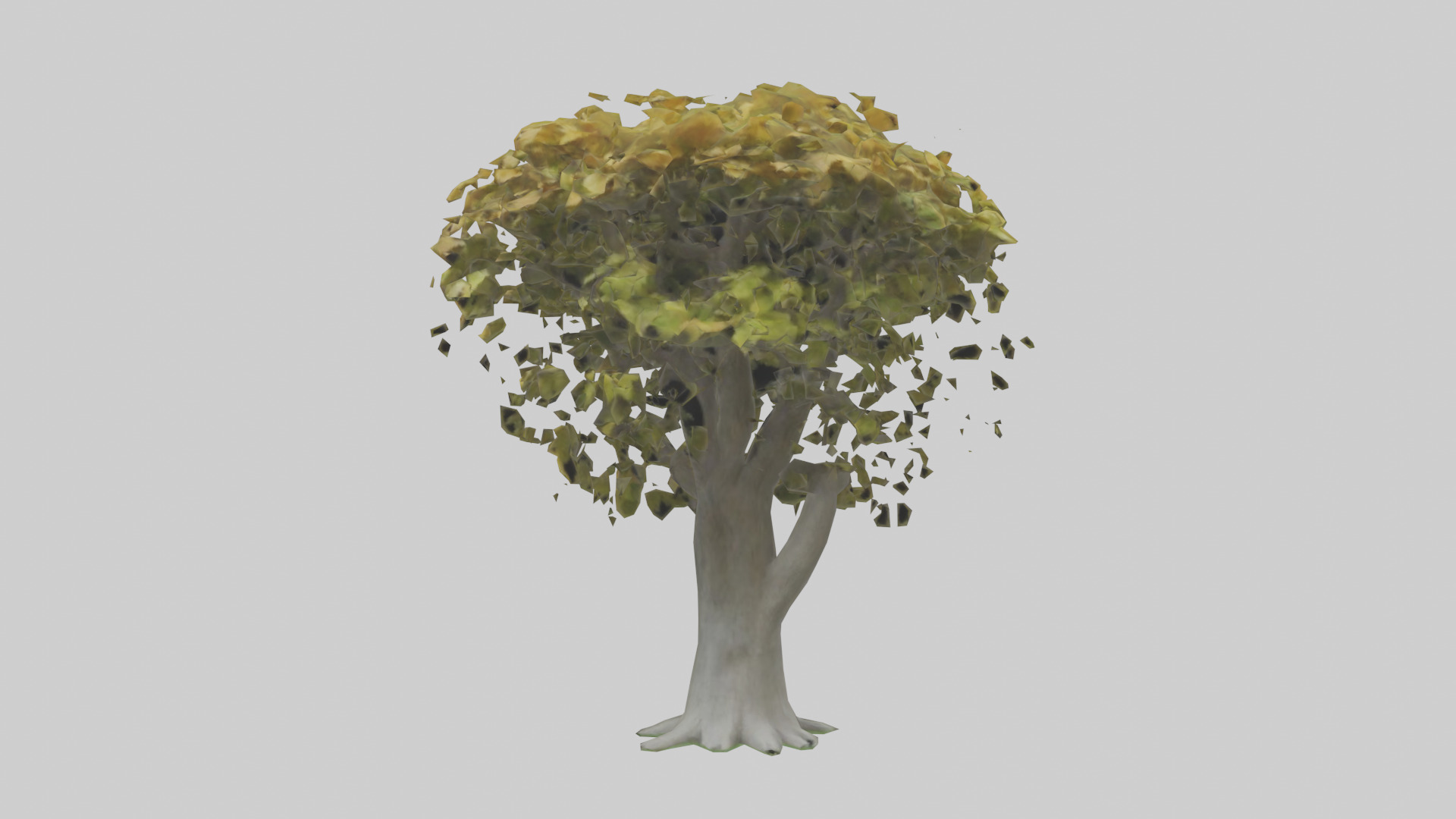 Catalpa tree model 3D model_9