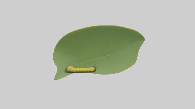 Caterpillar feeding on leaf model 3D model