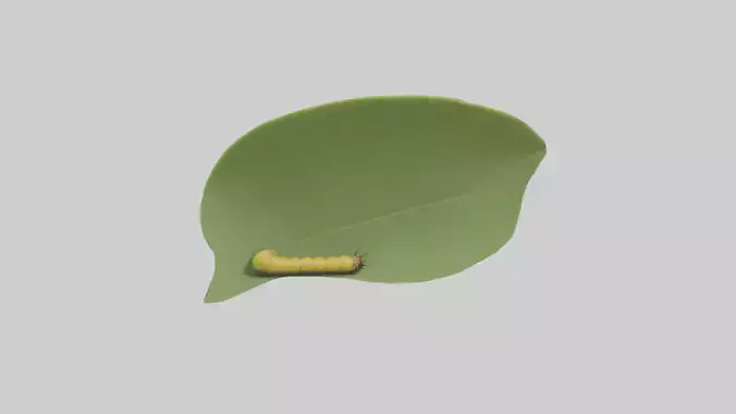 Caterpillar feeding on leaf model