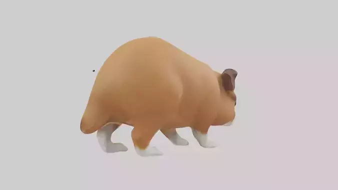 Cavy sniffing ground model