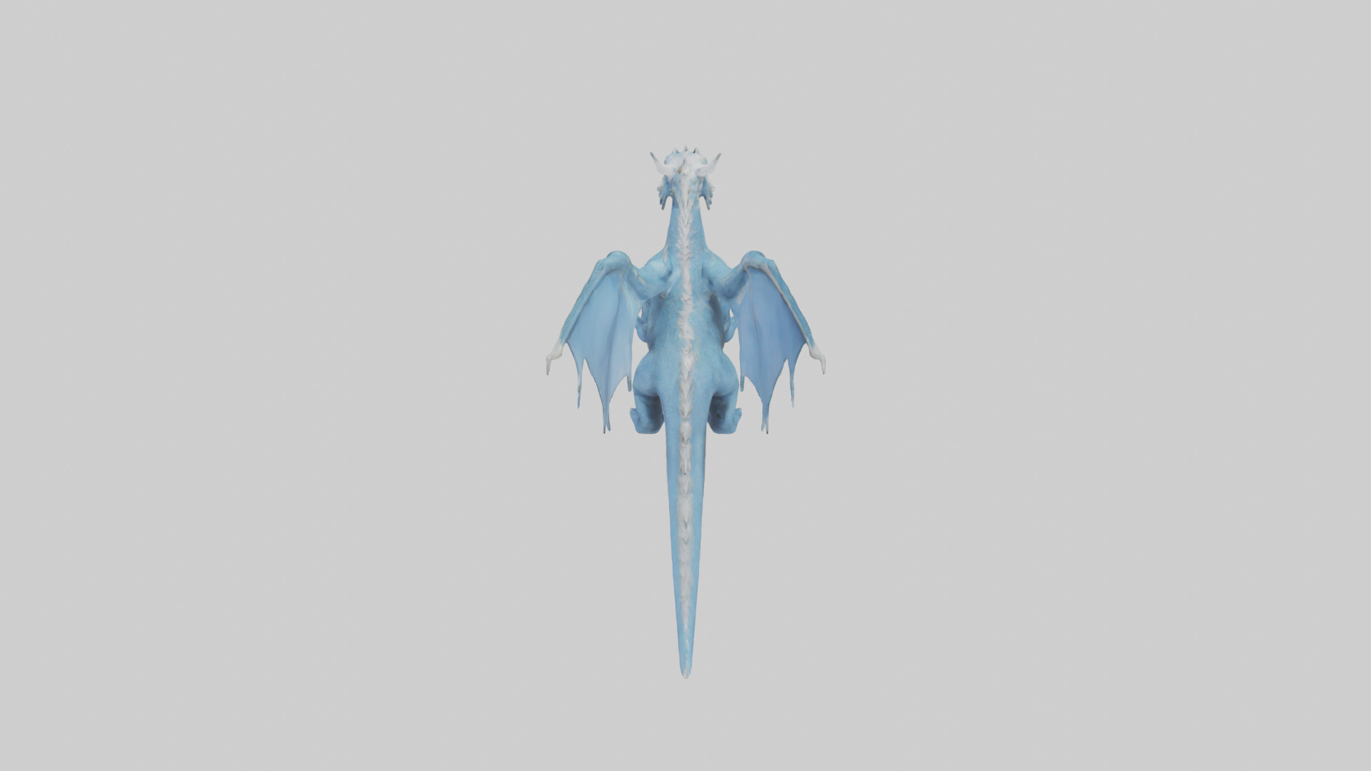 Celestial Dragon model 3D model_15