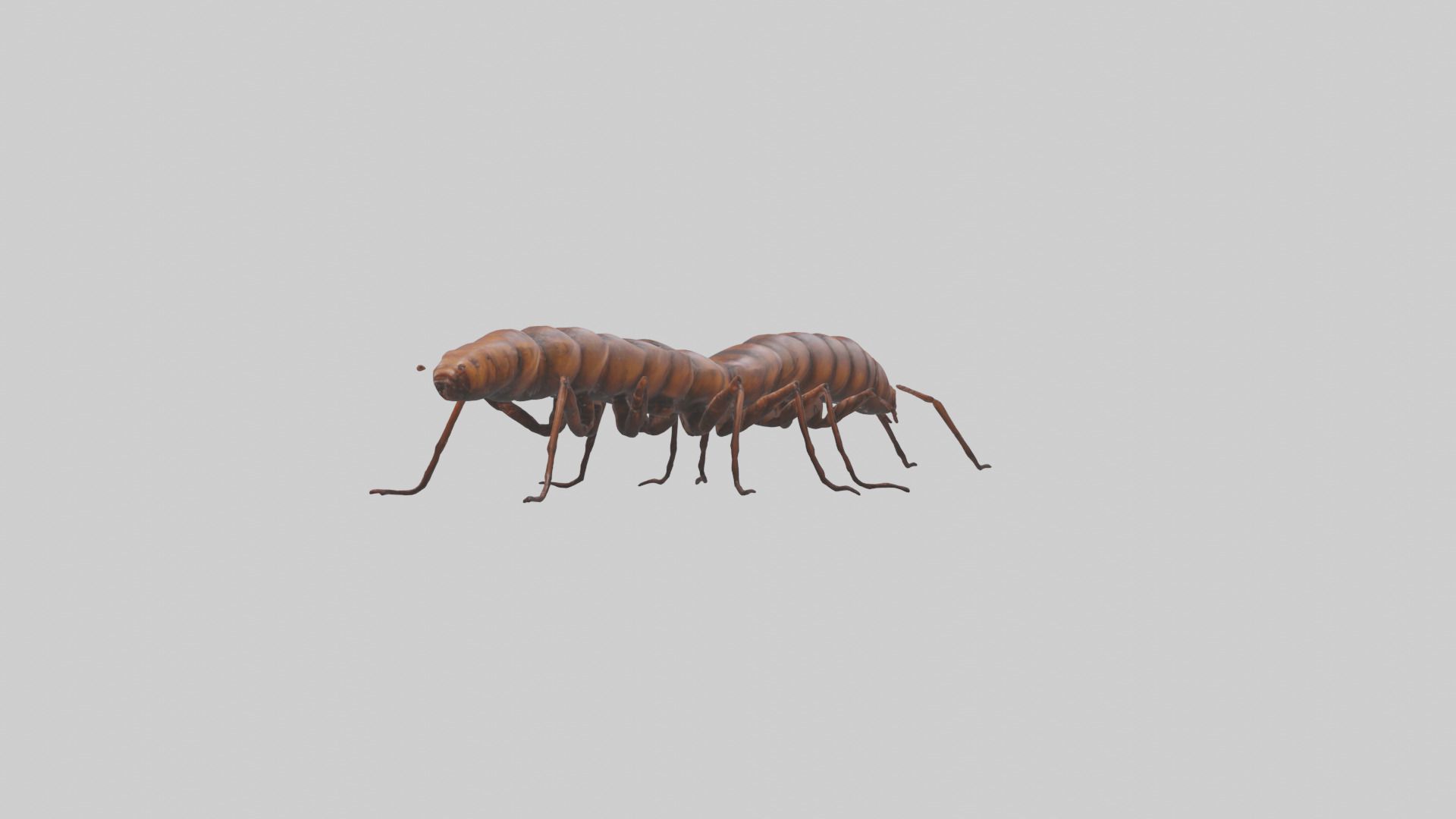 Centipede crawling model 3D model_2