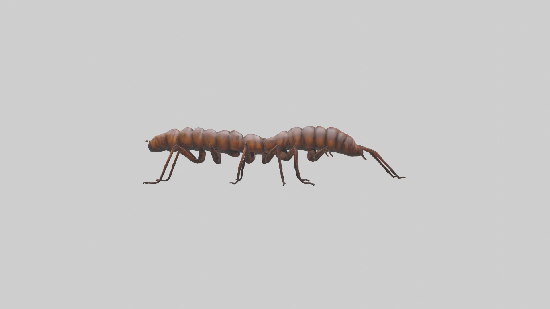 Centipede crawling model 3D model_13