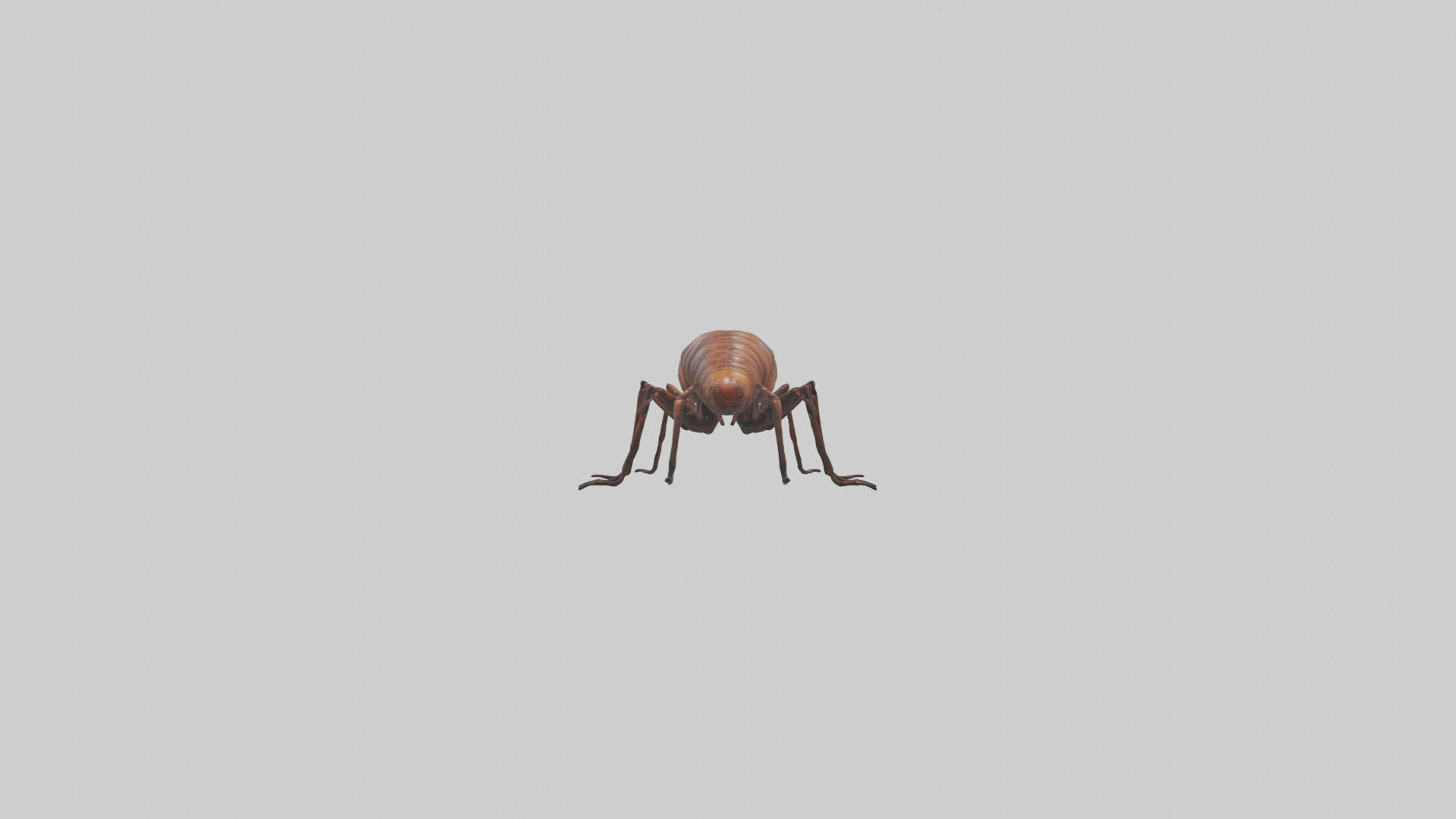 Centipede crawling model 3D model_9