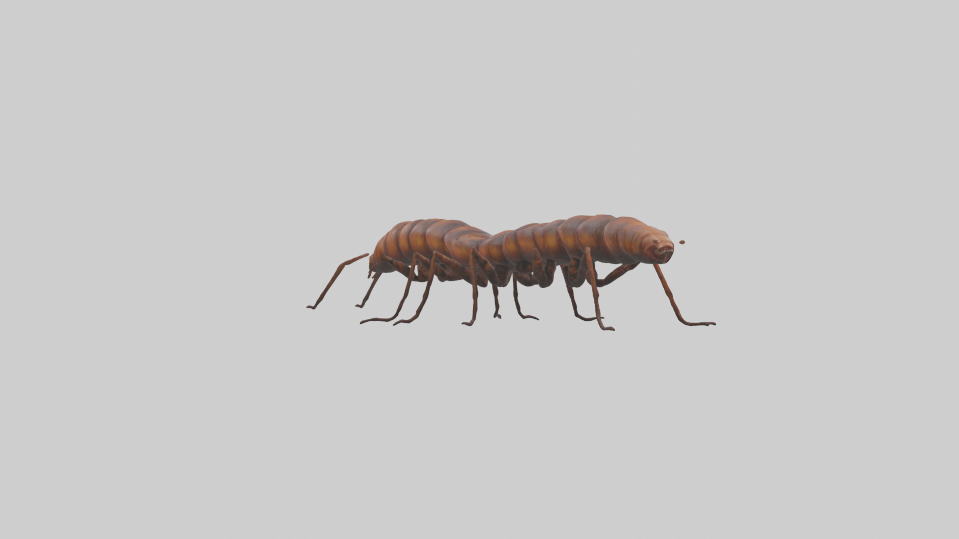 Centipede crawling model 3D model_1