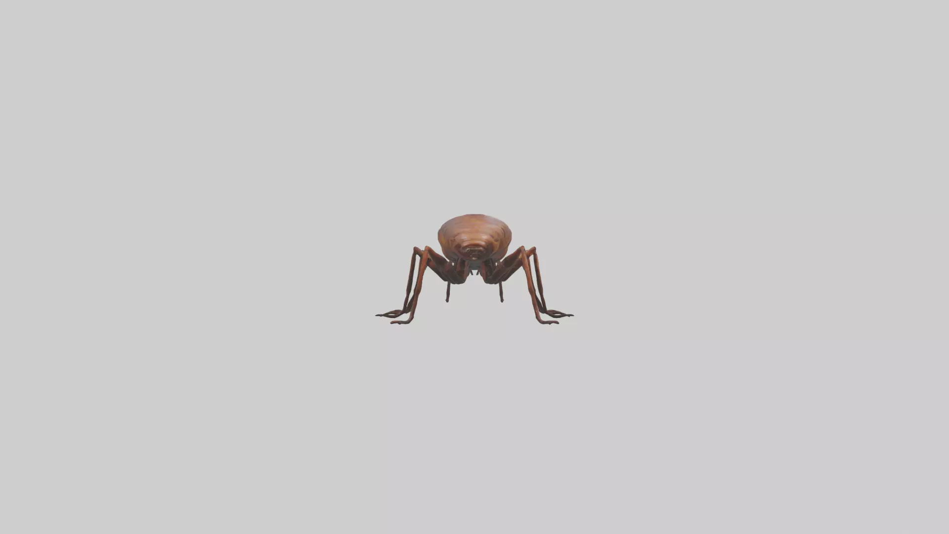 Centipede crawling model 3D model_0