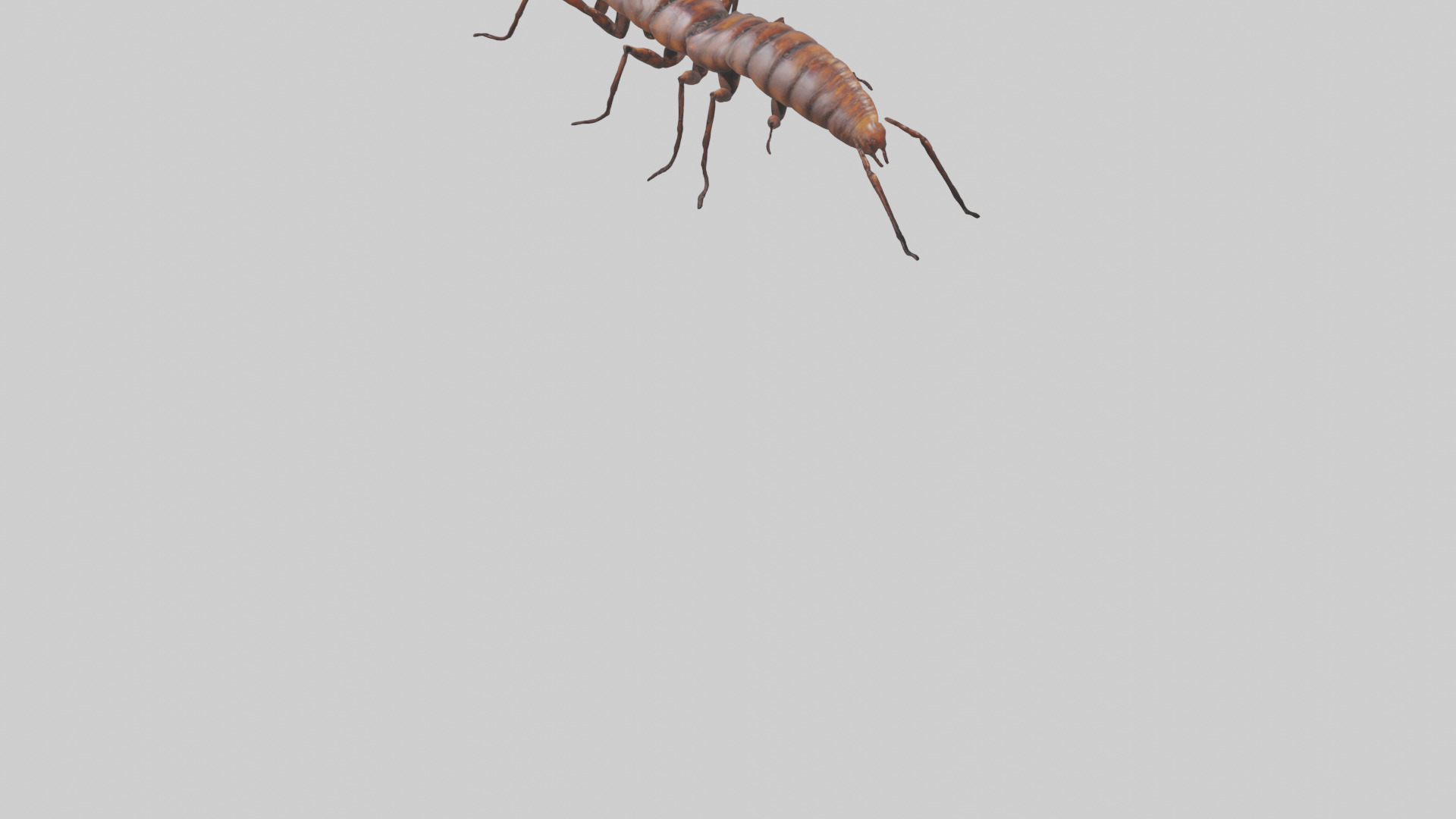 Centipede crawling model 3D model_6