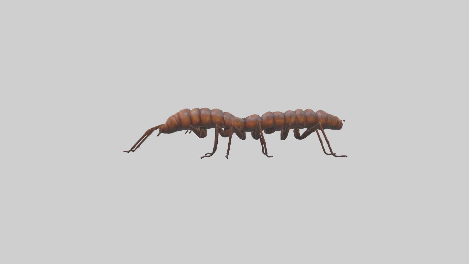 Centipede crawling model 3D model_12