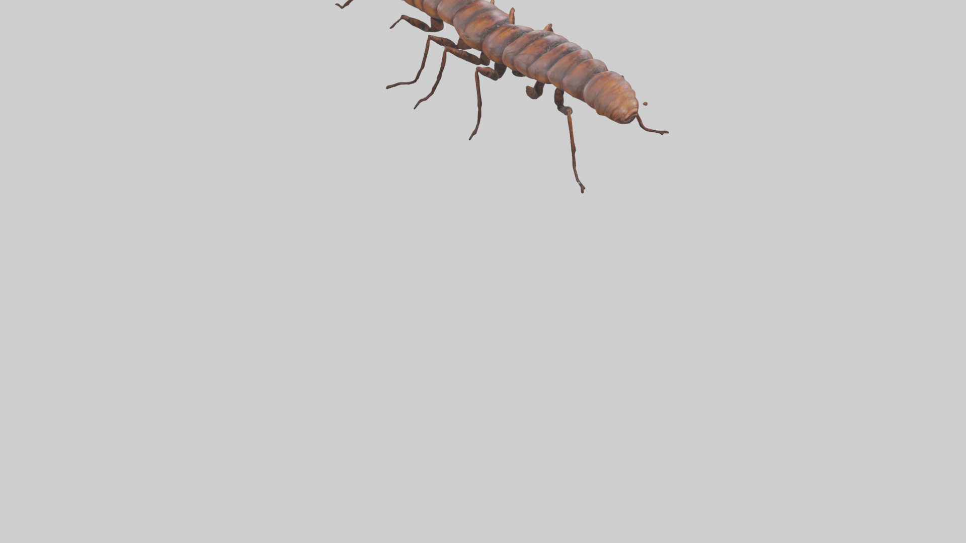Centipede crawling model 3D model_3