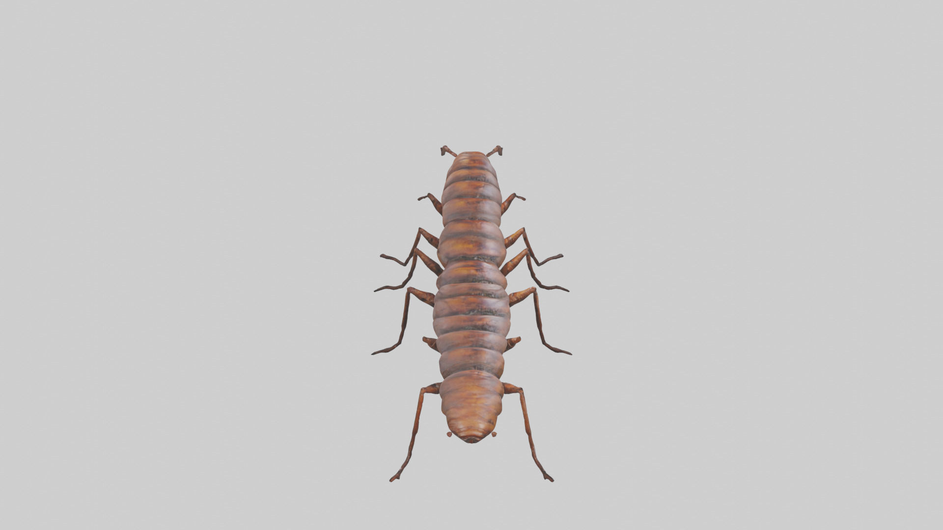 Centipede crawling model 3D model_15