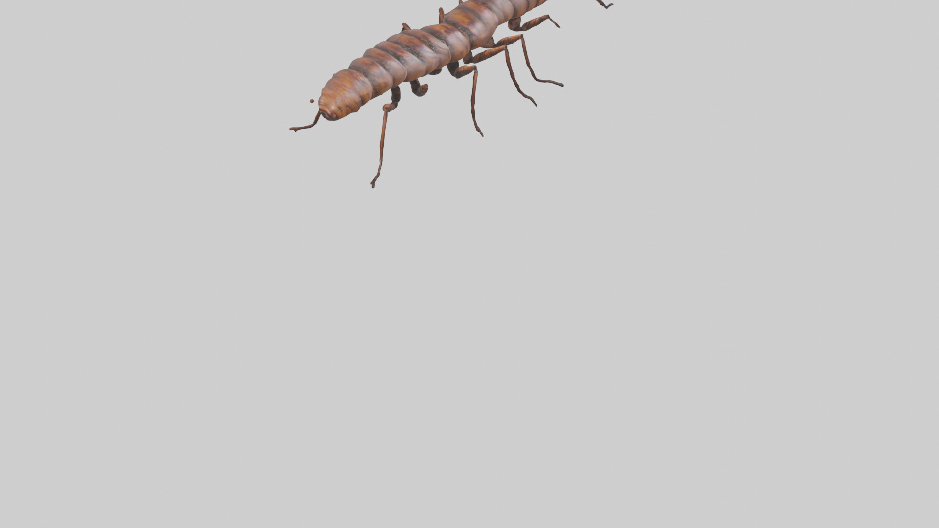 Centipede crawling model 3D model_4