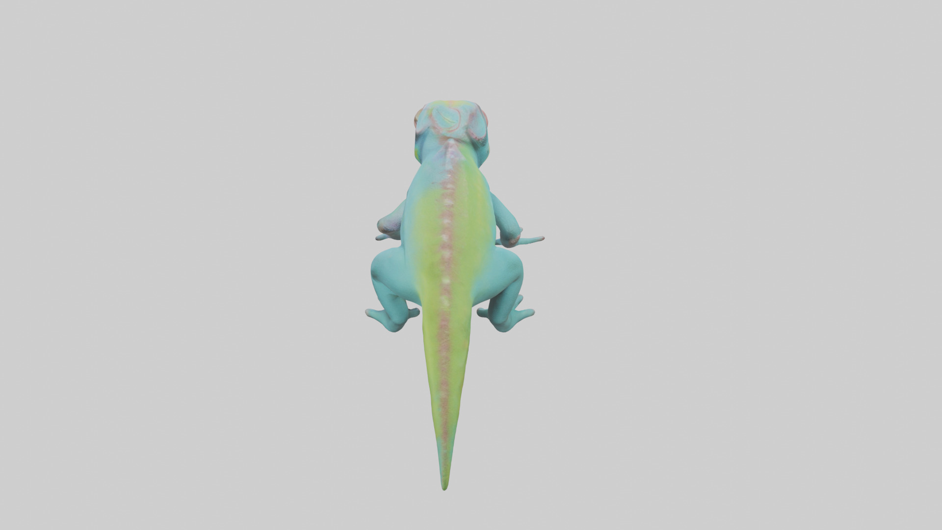 Chameleon blending in model 3D model_15