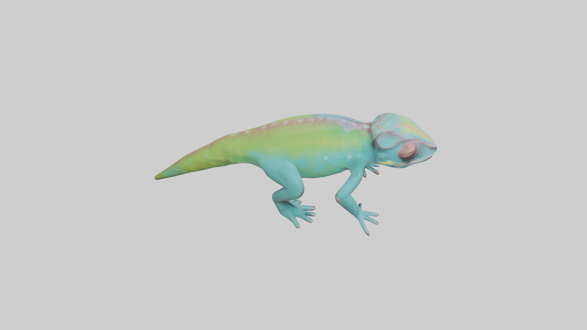 Chameleon blending in model 3D model_18