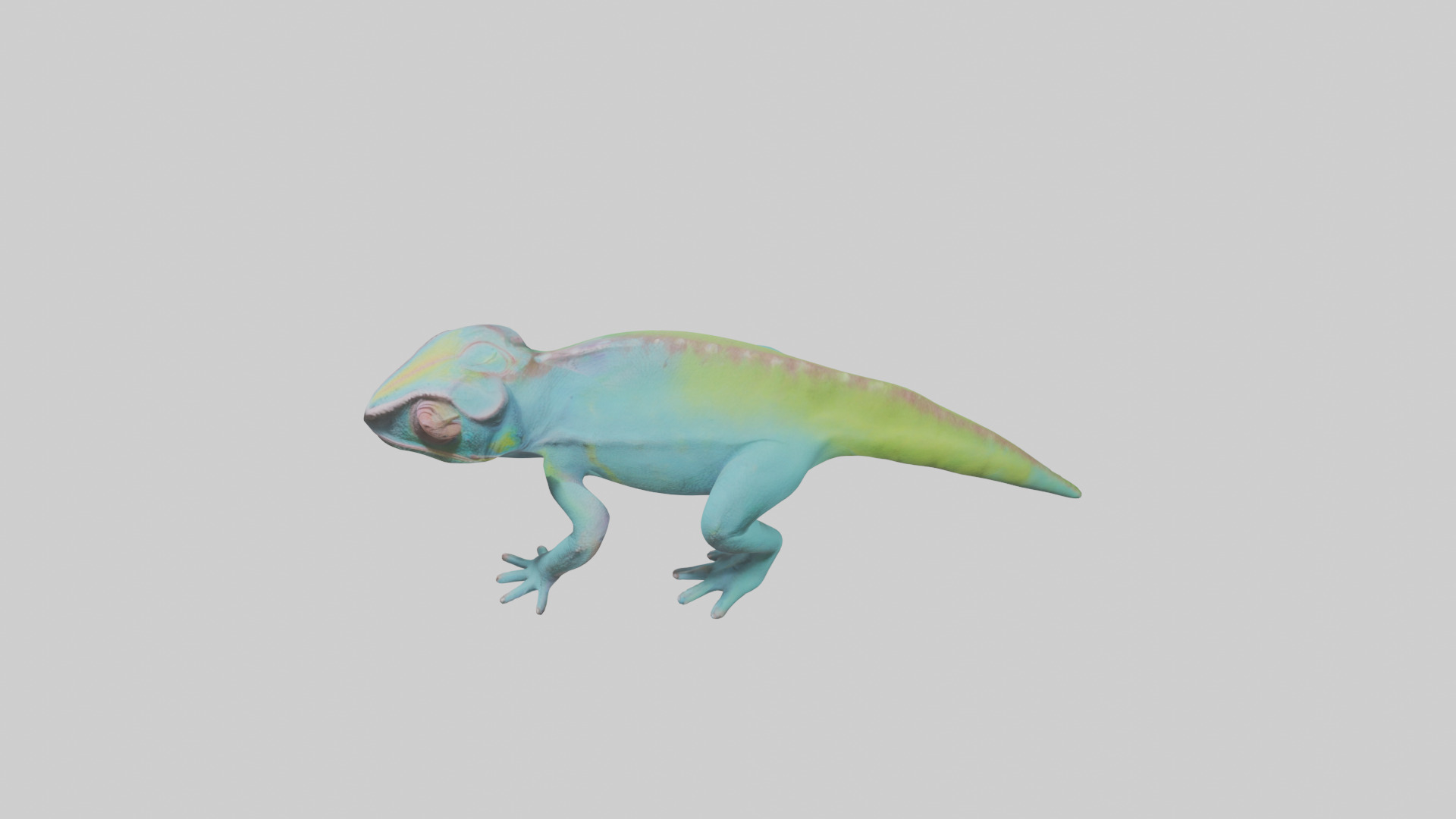 Chameleon blending in model 3D model_17