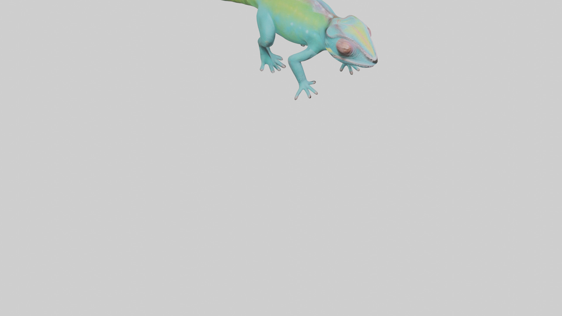 Chameleon blending in model 3D model_8