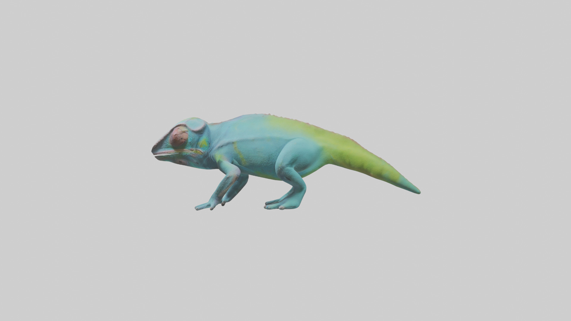 Chameleon blending in model 3D model_12