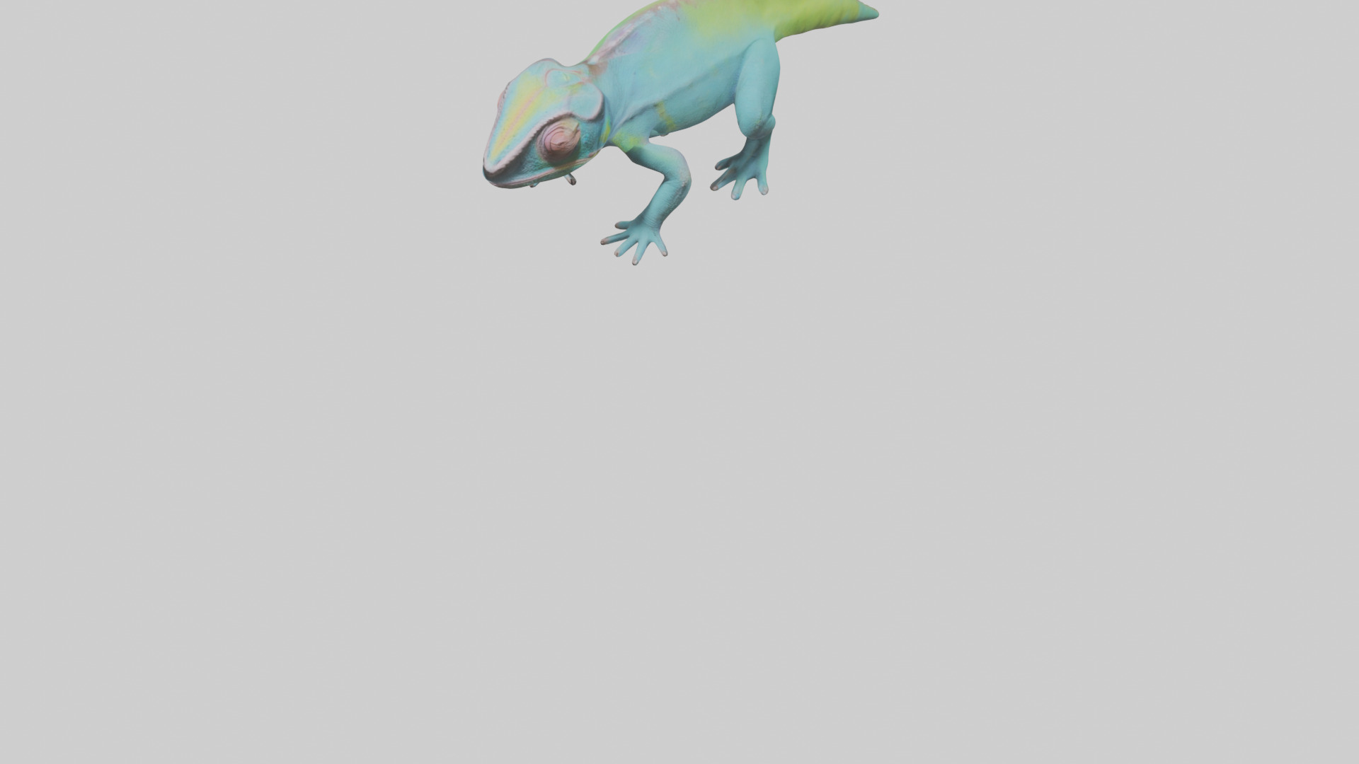 Chameleon blending in model 3D model_7