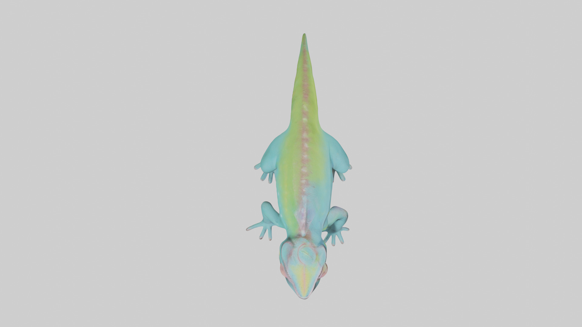 Chameleon blending in model 3D model_14