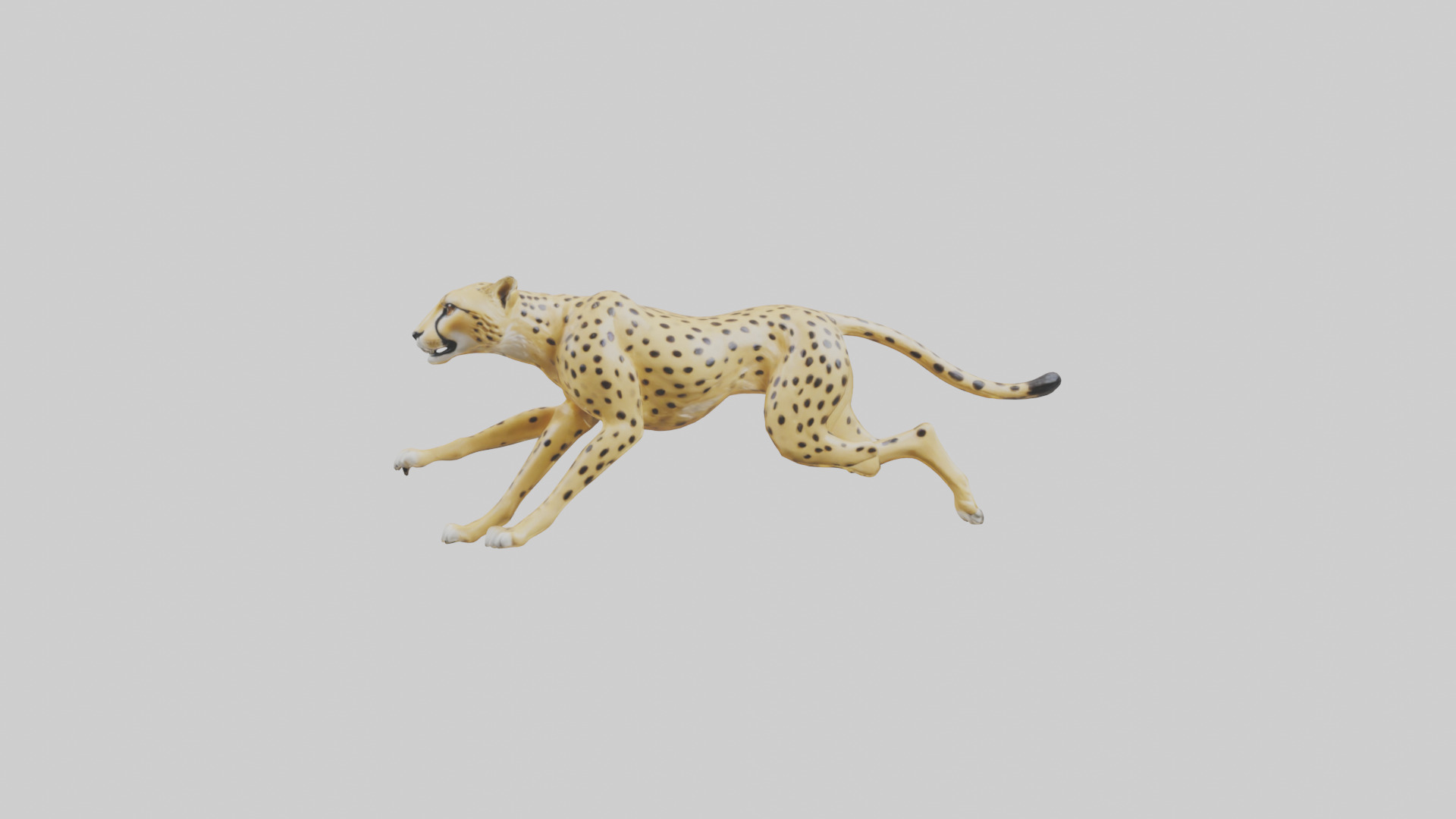 Cheetah sprinting model 3D model_9
