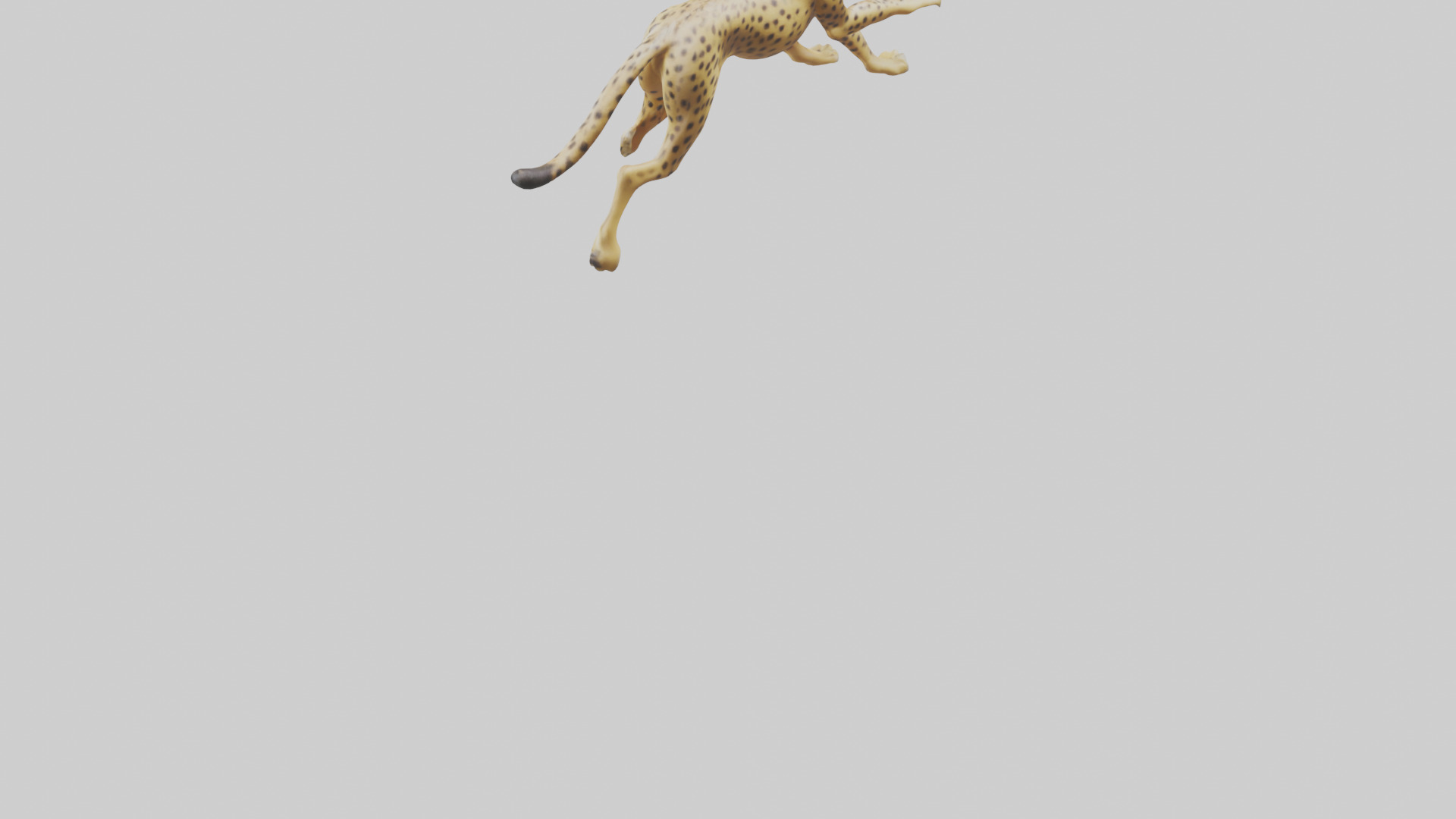 Cheetah sprinting model 3D model_3
