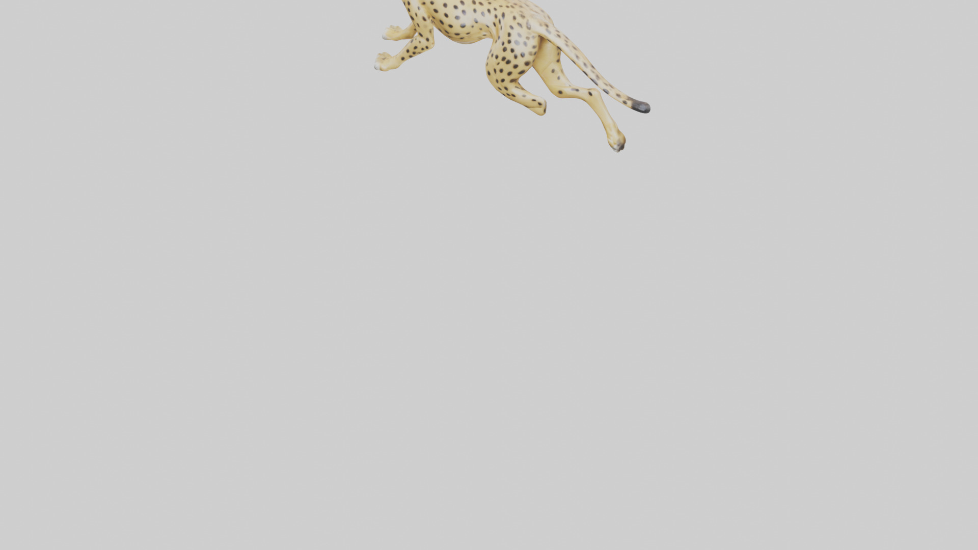 Cheetah sprinting model 3D model_5