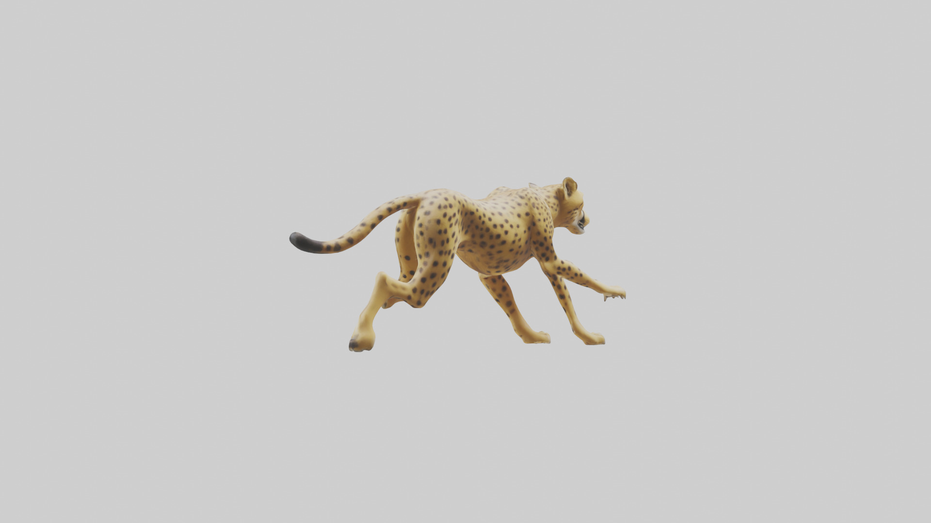 Cheetah sprinting model 3D model_1