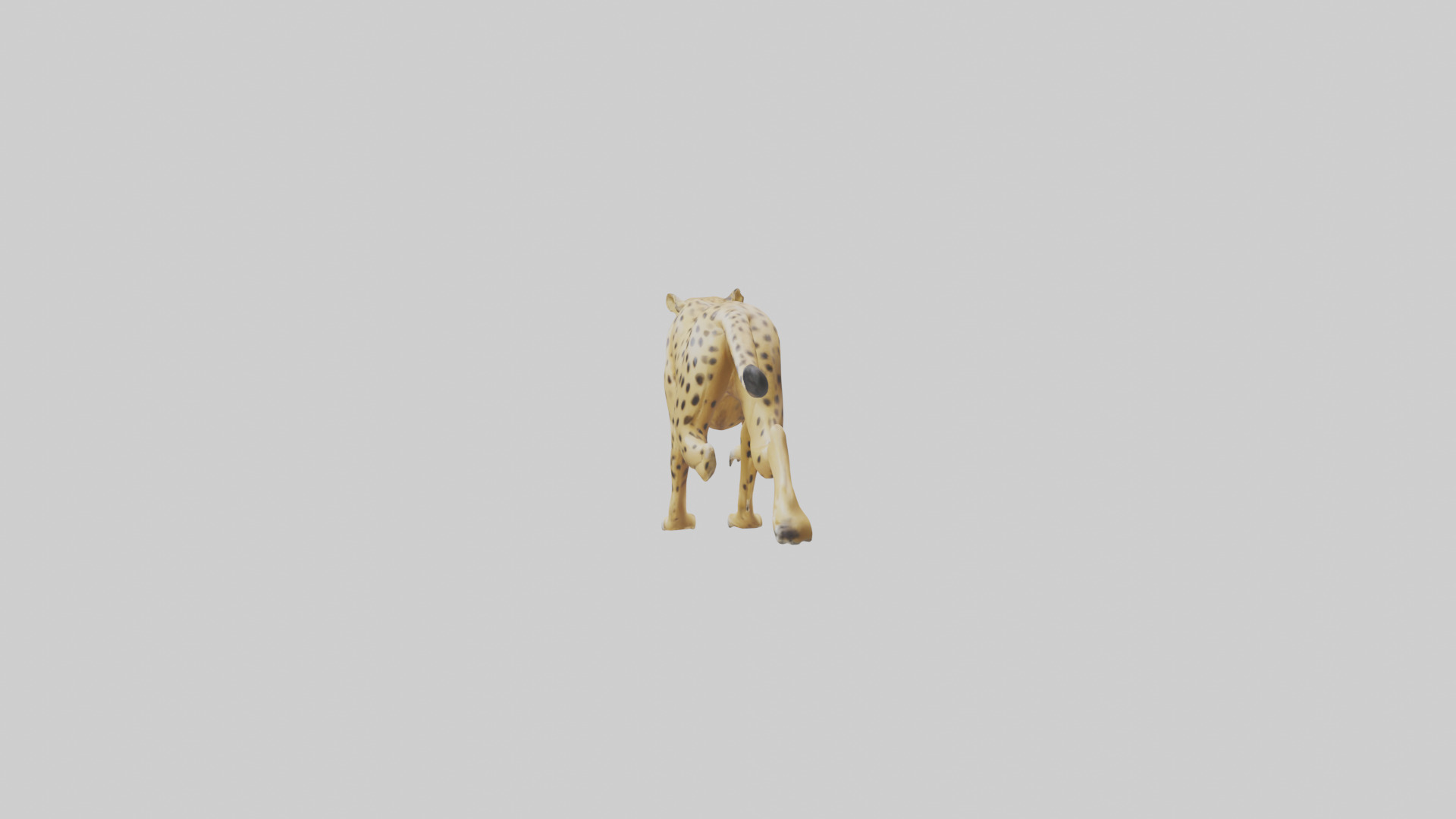 Cheetah sprinting model 3D model_12