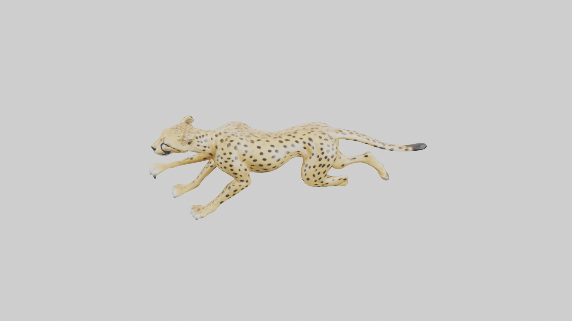 Cheetah sprinting model 3D model_16