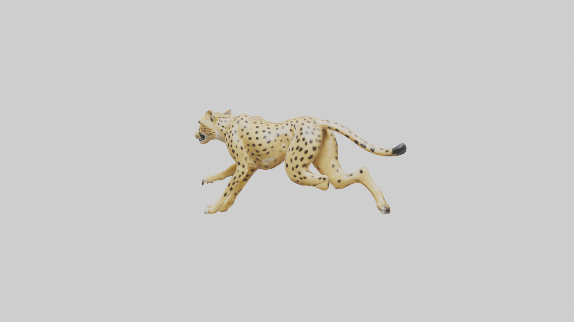 Cheetah sprinting model 3D model_10