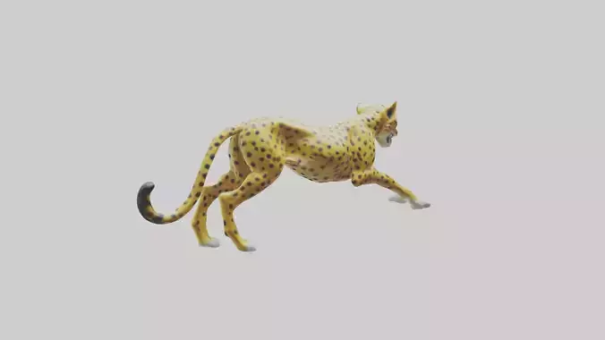 Cheetah statue model