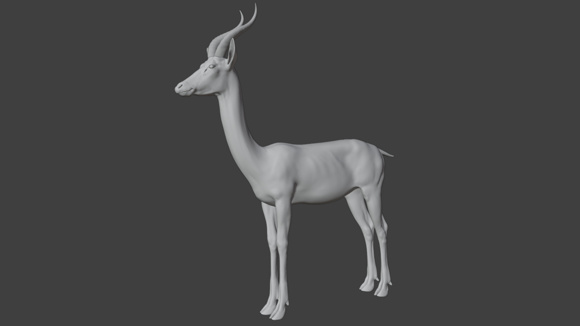 Gerenuk - Giraffe  Antelope  Realistic 3D model_11