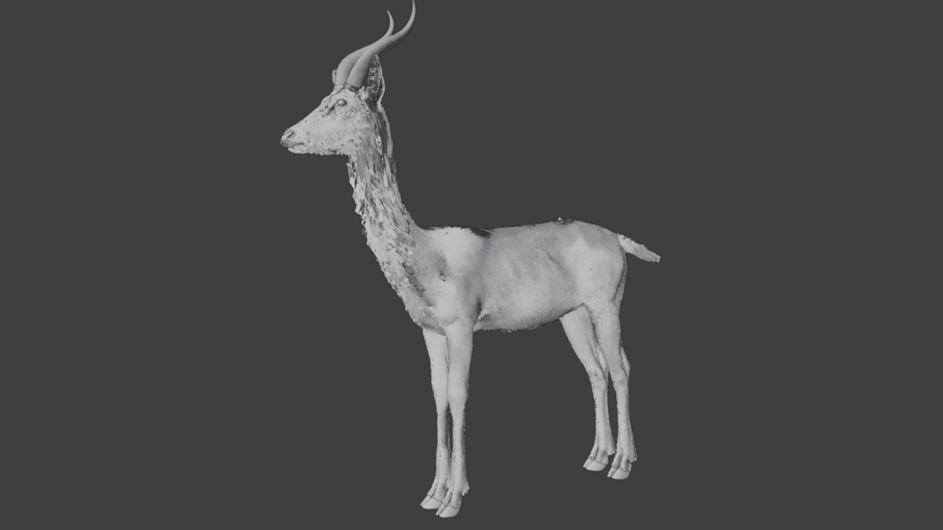 Gerenuk - Giraffe  Antelope  Realistic 3D model_12